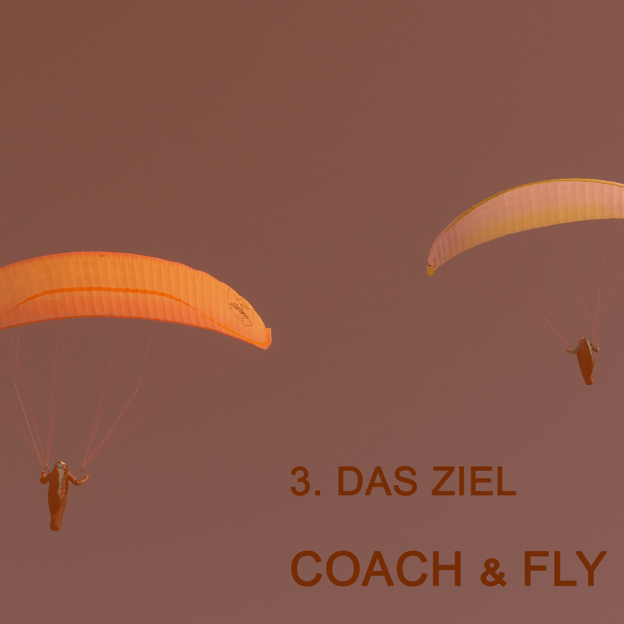 3. DAS ZIEL - COACH & FLY - orange.png